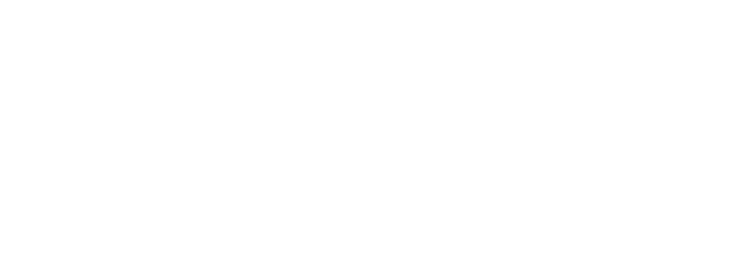 REIG - We take the complexity out of solar data.