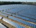 The Importance of SCADA and DAS Systems in a Utility-Scale Solar PV Farm